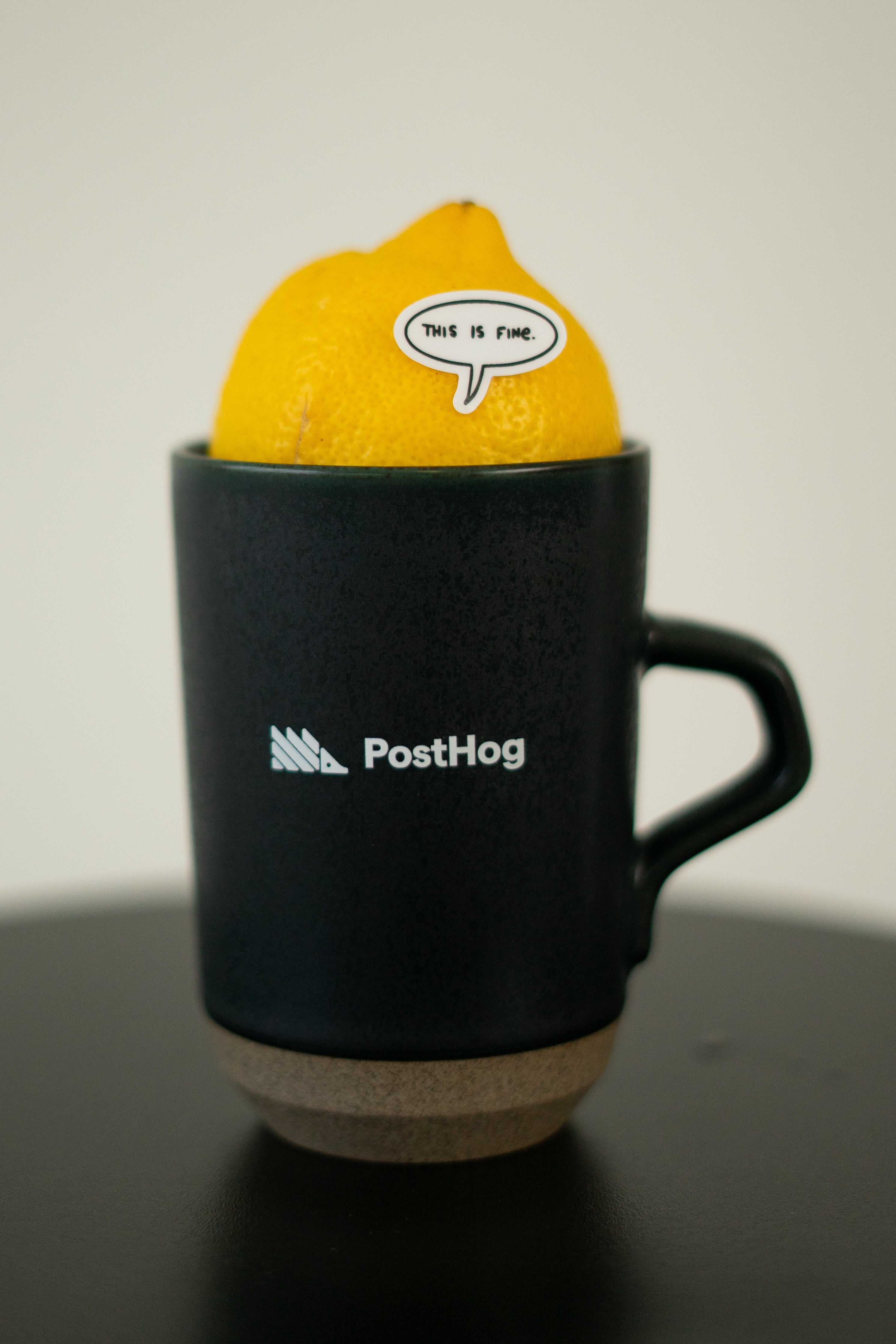 PostHog mug
